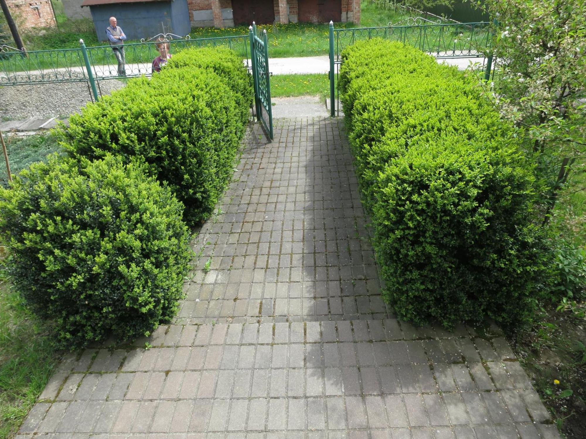 Hostynna Sadyba Leshnya Exterior photo